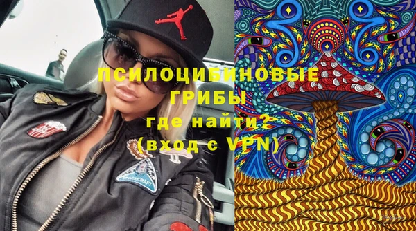 сатива Нея