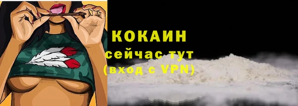 spice Новодвинск