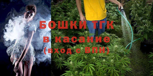 сатива Нея
