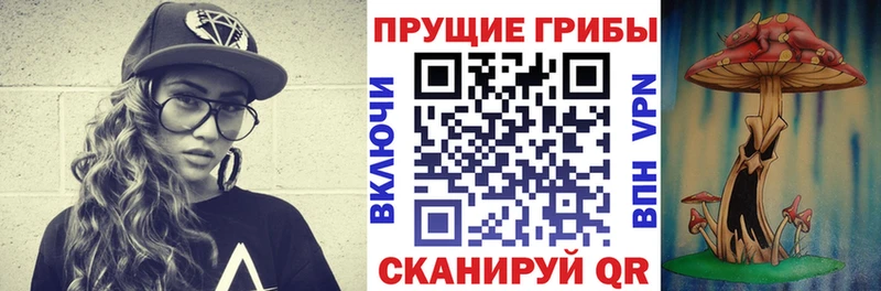 Псилоцибиновые грибы мицелий  Нефтегорск 