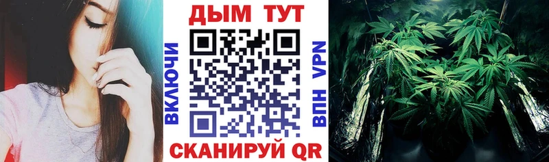 Марихуана сатива Нефтегорск